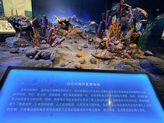 -天津自然博物馆