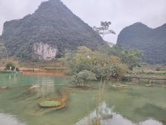 -靖西鹅泉风景区