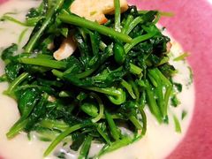 -子福慧(虹桥店)