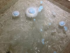 -兴芮温泉度假区