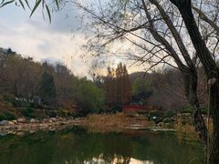 -大连植物园