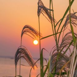 -Oasis Beauty水磨坊科技美肤中心