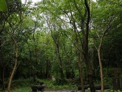 -盘龙城国家考古遗址公园