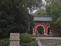 -灵谷景区