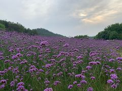 -黄陂区野村谷景区