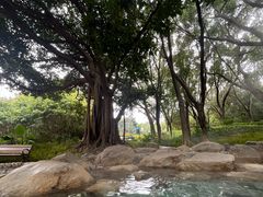 -湖泉半山温泉