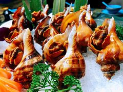 海螺刺身-金龙·打边炉(南京西路店)