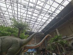 -国家自然博物馆