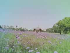 -杭州城北体育公园