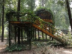 -林栖谷森林康养度假区