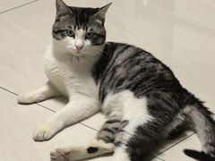 -达爱动物医院·犬猫分区·CT·复杂眼科(远洋山水分院)
