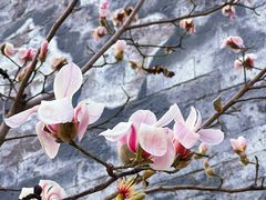 -东华门大街小区