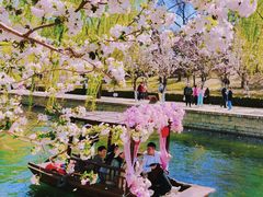 -元大都城垣遗址公园