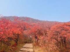 -周口店坡峰岭风景区