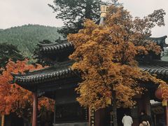 -五台山风景名胜区