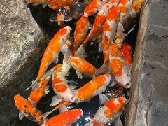 -大连圣亚海洋世界