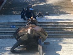 -广东惠东海龟国家级自然保护区