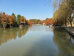 -上海长兴岛郊野公园