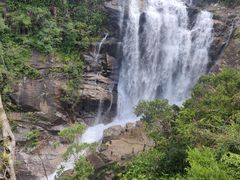 -海南热带雨林国家公园吊罗山景区