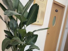 -筋骨堂热敷推拿按摩(招商花园城店)