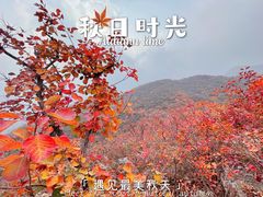 -周口店坡峰岭风景区