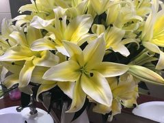 -农汤老店(顺联公园里店)