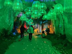 -栾川竹海野生动物园