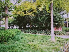-浙江农林大学(东湖校区)