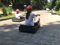 -圣淘沙天际线斜坡滑车