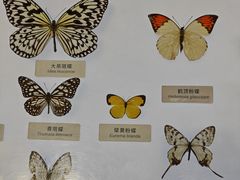 -中国湿地博物馆