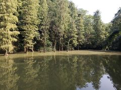 -云溪植物园