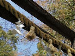 -野宫神社