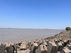 -上海滨江森林公园