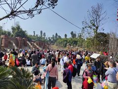 -枫香湖儿童公园