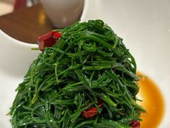 -靖远尕六美味羊羔肉