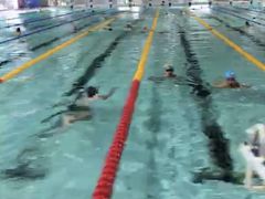 -奥林匹克体育中心游泳馆