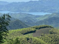 -莫干山风景区