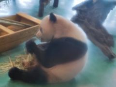 -五龙山野生动物王国