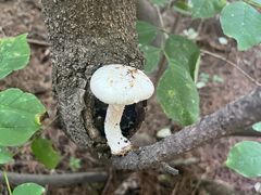 -沈阳辉山风景区