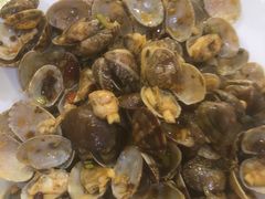 -小叶大馅饺子城