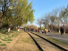 -永定河休闲森林公园