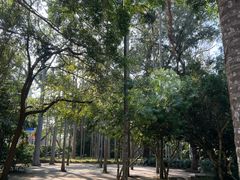 -北海市海滨公园