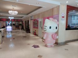 -北京俪婴妇产医院(朝阳大悦城店)