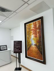 -薇兰专业脱毛连锁机构