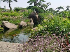 -罗红摄影艺术馆