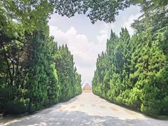 -上海市龙华烈士陵园