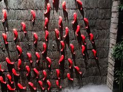 -小龙坎老火锅(鹤伴一路店)