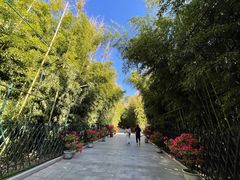 -红螺寺
