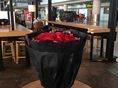 大堂-星巴克(北京首都国际机场7店)