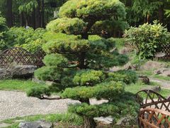 -中山公园